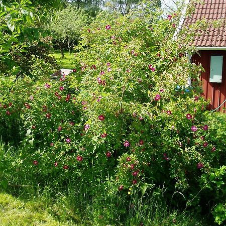 Langesater B&B Lerdala Buitenkant foto