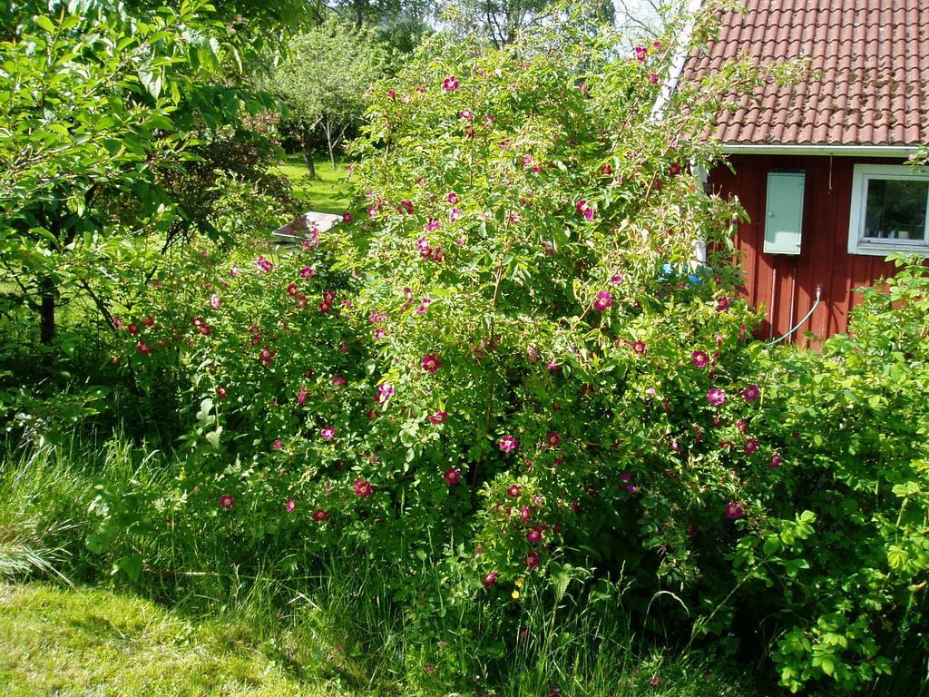 Langesater B&B Lerdala Buitenkant foto